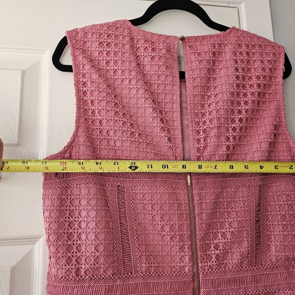 Ever New Pink Lace Dress, Size 12 - Picture 6 of 7
